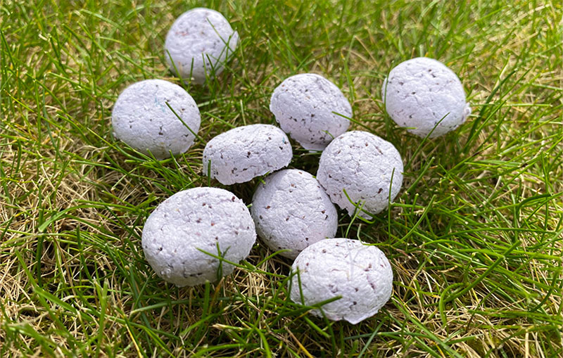 Paper Wildflower Seed Bombs Using Silicone Moulds