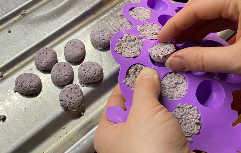 Crafting with kids to make paper crafts - seed bombs