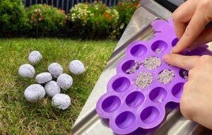 Homemade seed bombs scattered on the grass in and seed bombs being shaped using a silicone mold
