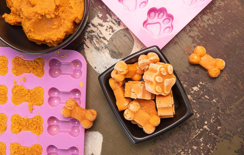 Pumpkin flavoured healthy dog treats made using a silicone mould